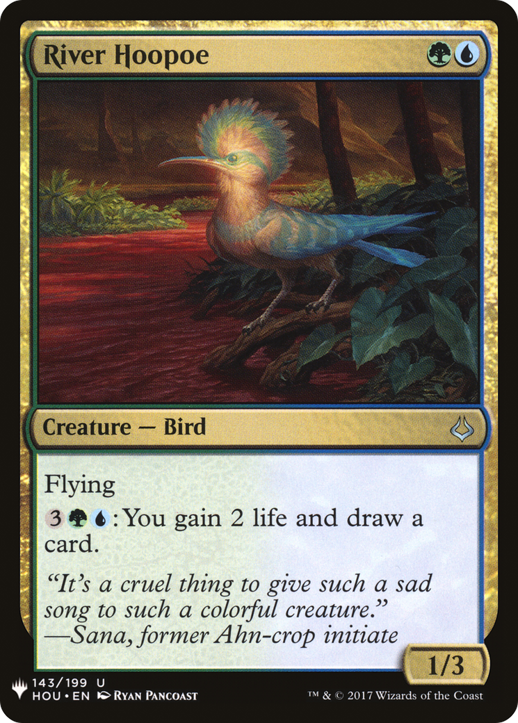 River Hoopoe [LIST - 143]