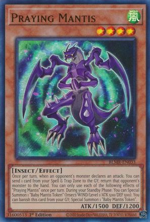 Praying Mantis [BLMR - BLMR-EN033]