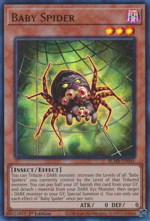 Baby Spider [BLMR - BLMR-EN045]