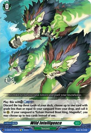 Wild Intelligence (D-SS05/Re33EN) - D-SS05: Festival Booster 2023
