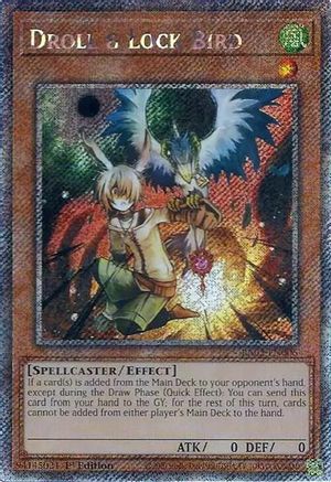 Droll & Lock Bird (Platinum Secret Rare) [RA02 - RA02-EN006]