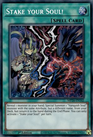 Stake your Soul! [MP24-EN142]