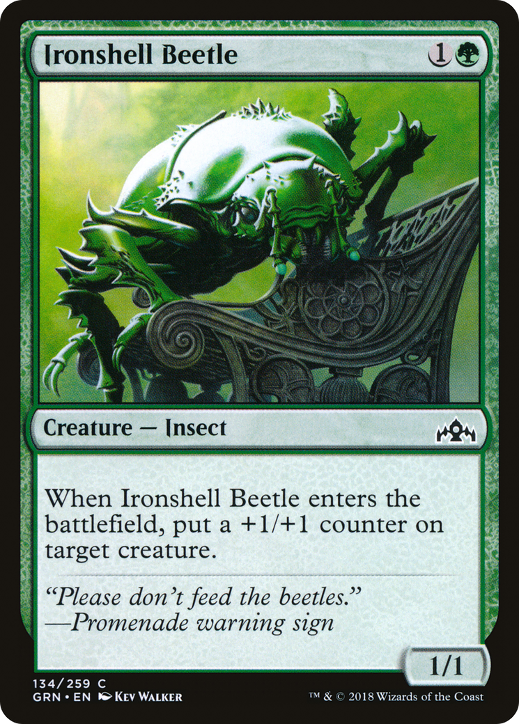 Ironshell Beetle [GRN - 134]