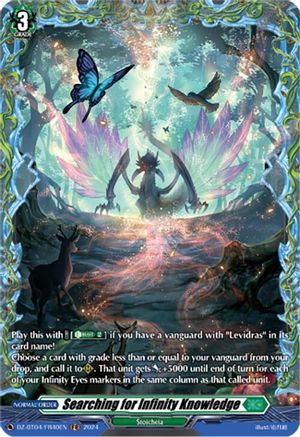 Searching for Infinity Knowledge (FR) [DZ-BT04 - DZ-BT04/FR40EN]