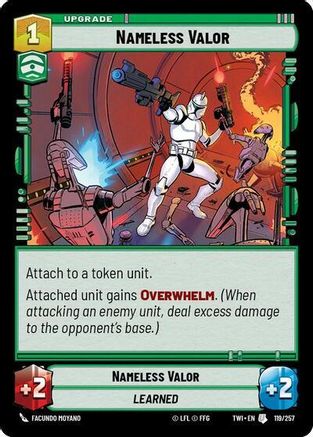 Nameless Valor [TWI - 119/257]
