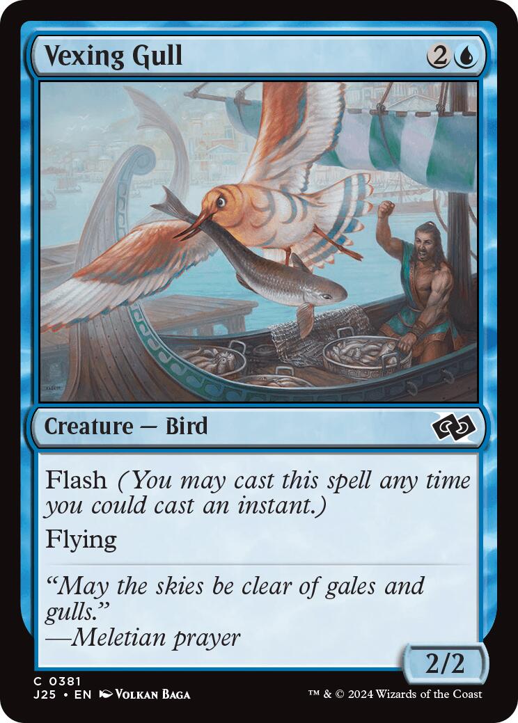 Vexing Gull [J25 - 381]