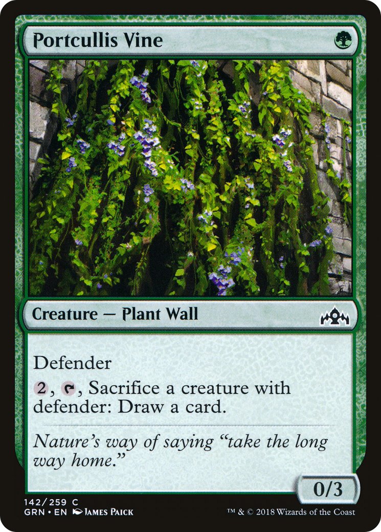 Portcullis Vine [GRN - 142]