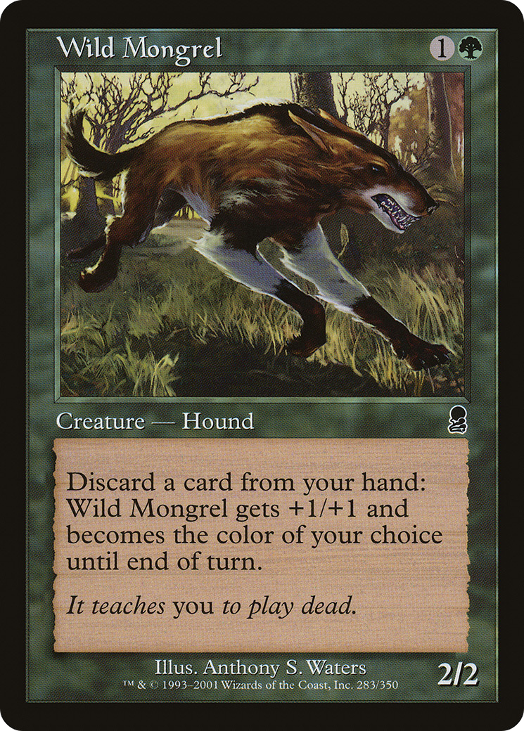 野生の雑種犬/Wild Mongrel Foil 英語 4枚 MTG Wild Mongrel (ODY-283) - Odyssey Foil – Larry's Game Store