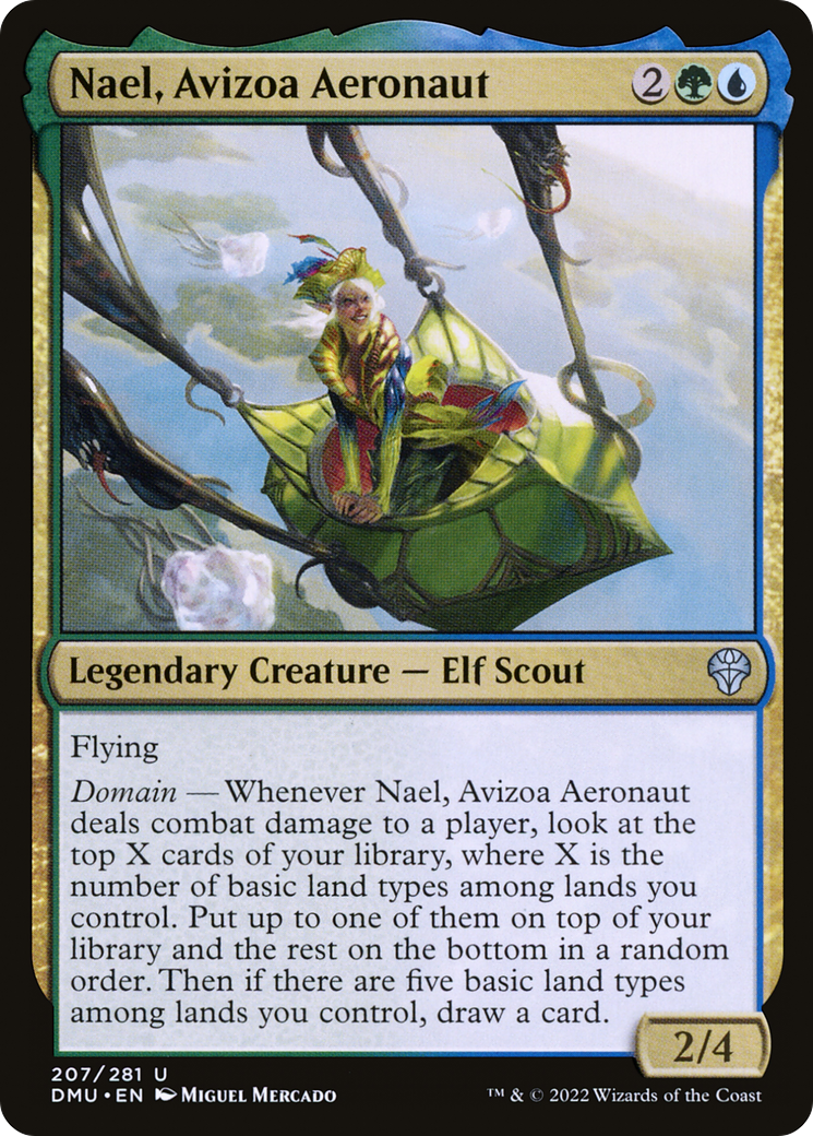 Nael, Avizoa Aeronaut [DMU - 207]