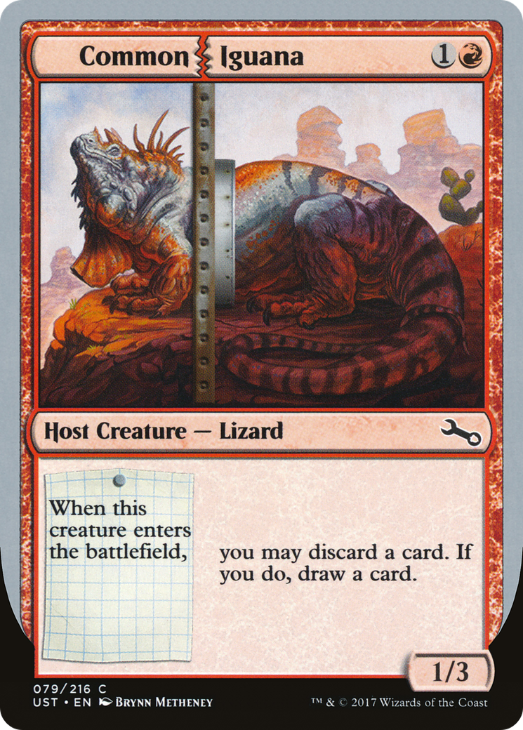 Common Iguana [UST - 79]