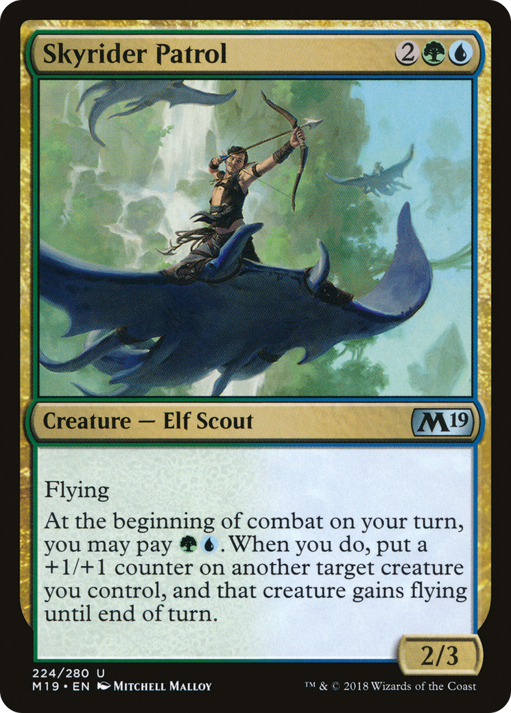 Skyrider Patrol [M19 - 224]