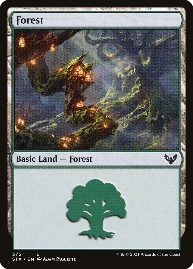 Forest (375) [STX - 375]