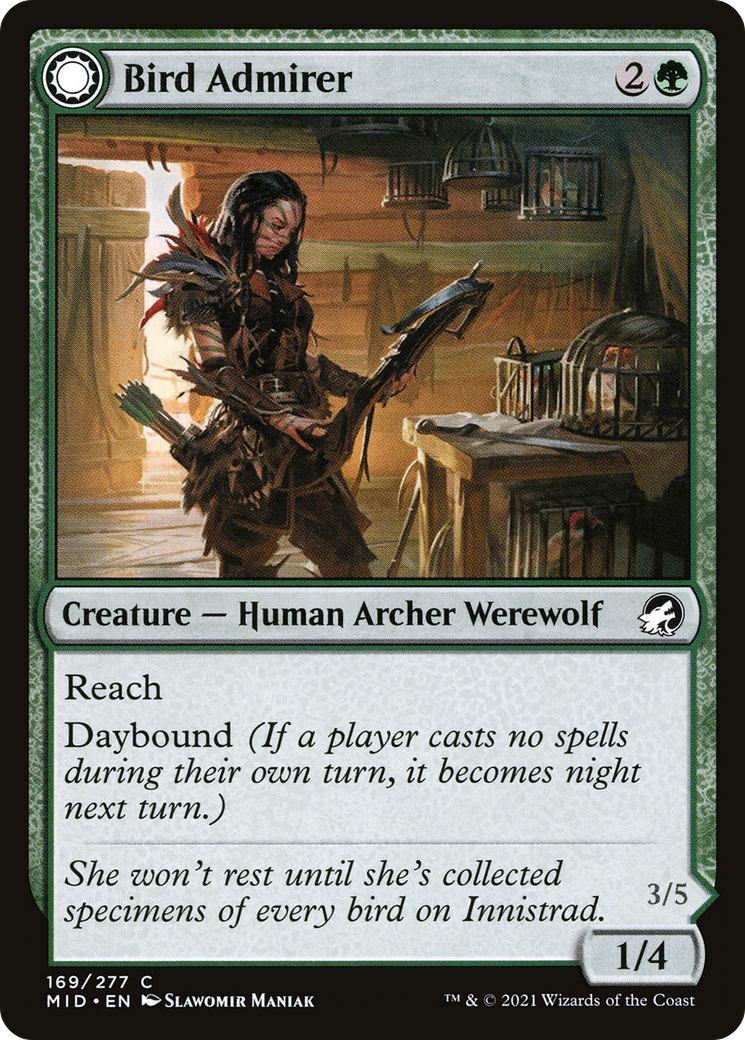 Bird Admirer [MID - 169]