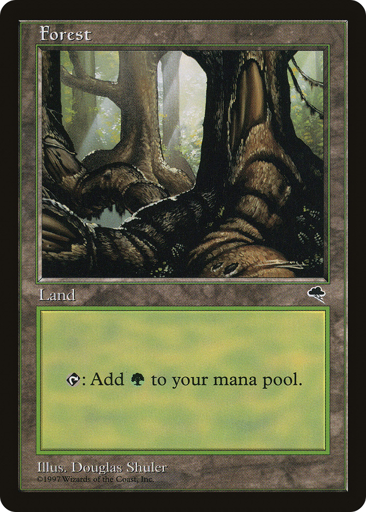 Forest (Pond) [TMP - 348]