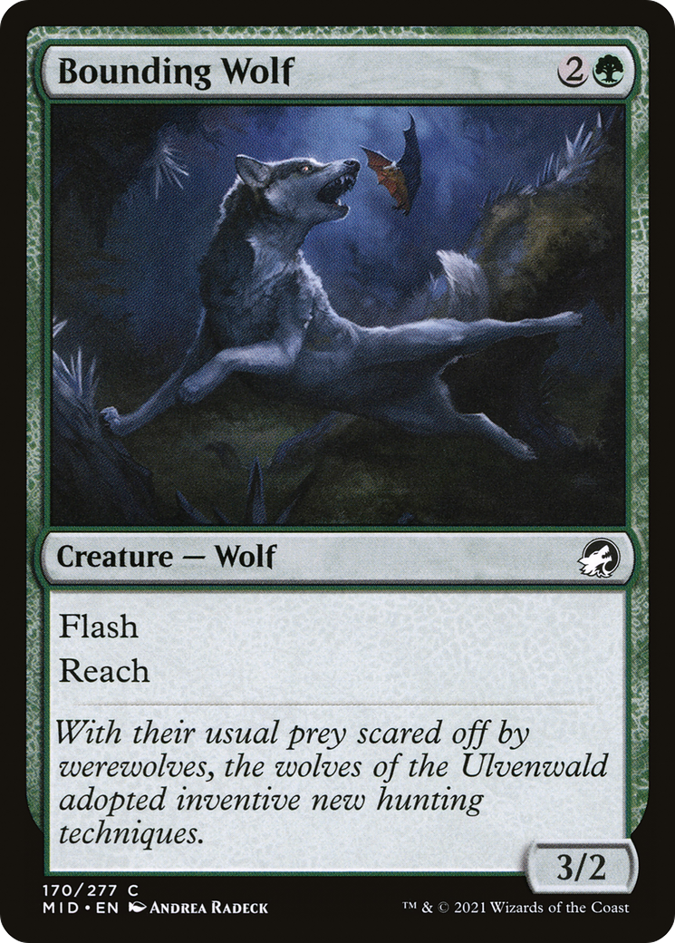 Bounding Wolf [MID - 170]