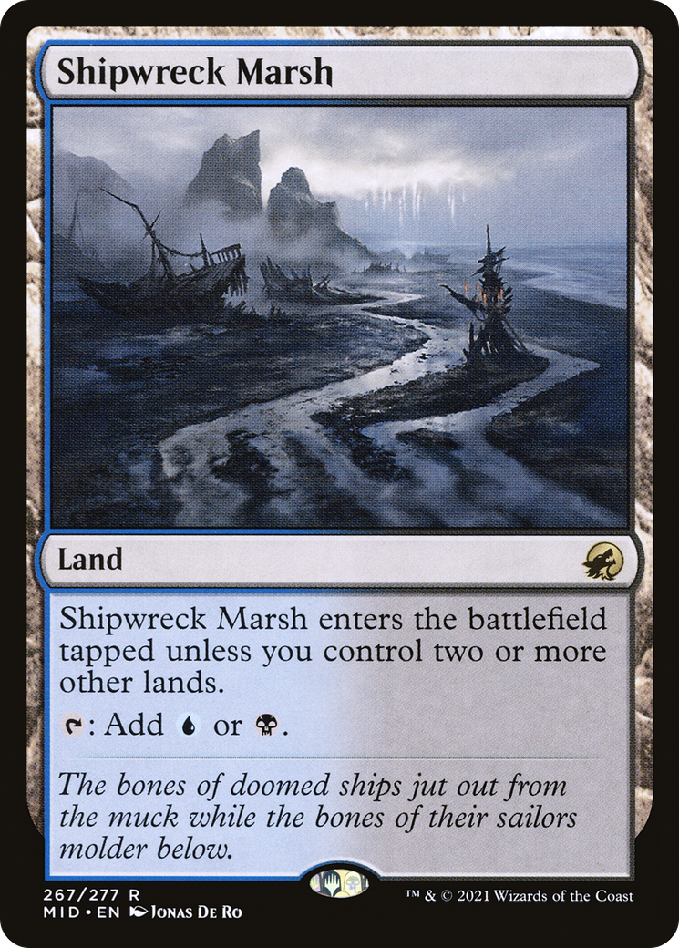 Shipwreck Marsh [MID - 267]
