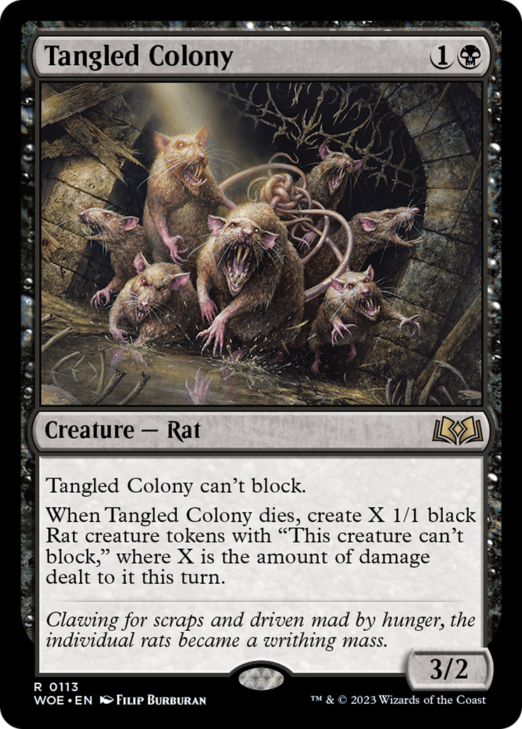 Tangled Colony [WOE - 113]