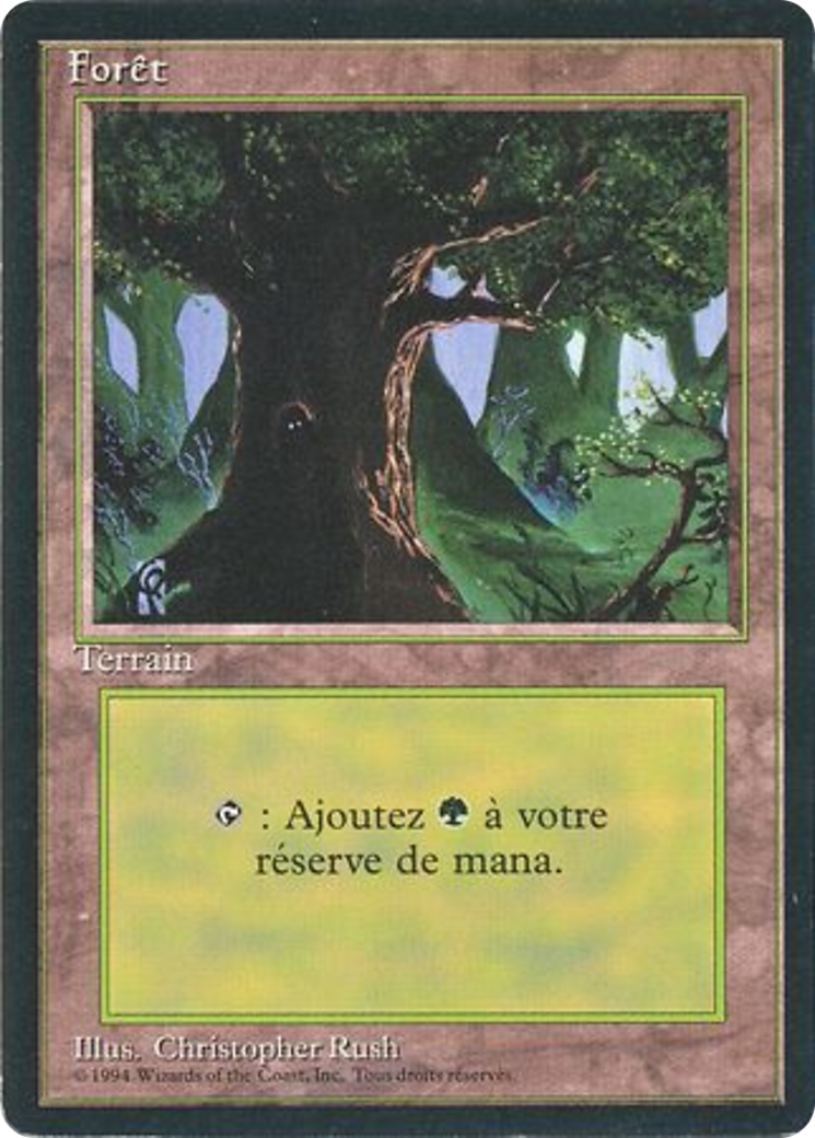 Forest (C) (FBB-306) - Foreign Black Border