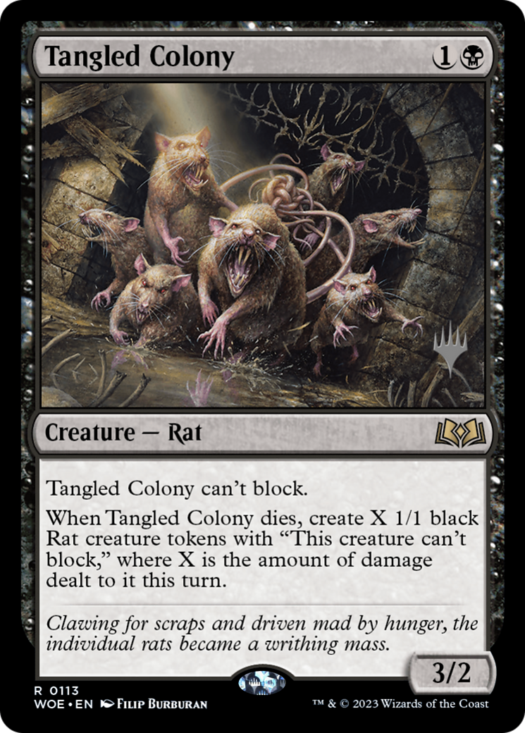 Tangled Colony [PPWOE - 113]