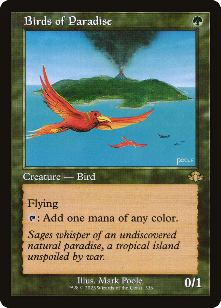 Birds of Paradise (Retro Frame) [DMR - 336]