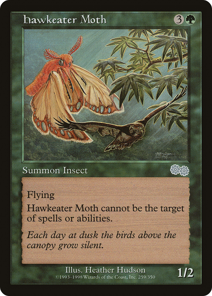 Hawkeater Moth [USG - 259]