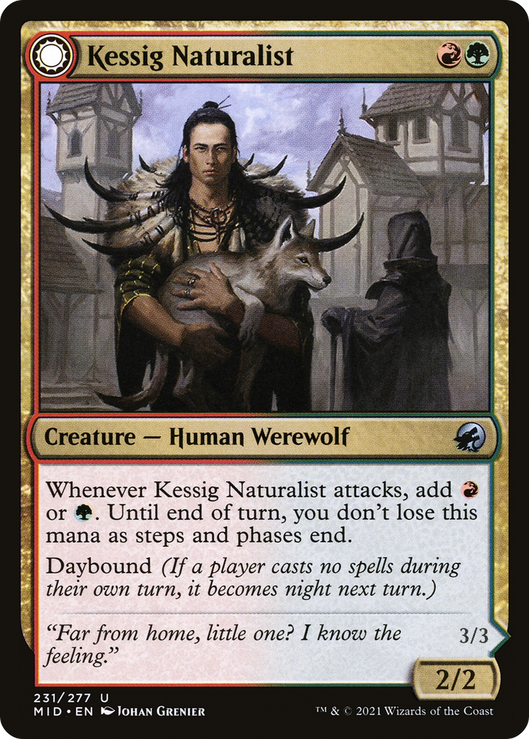 Kessig Naturalist [MID - 231]