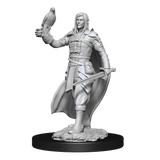 Nolzur's Marvelous Miniatures - Elf Ranger