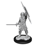 Nolzur's Marvelous Miniatures - Human Fighter (male)