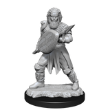 Nolzur's Marvelous Miniatures - Human Fighter (male)