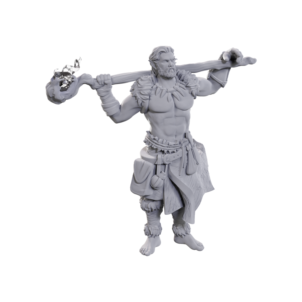 Nolzur's Marvelous Miniatures - Archdruid & Martial Arts Adept