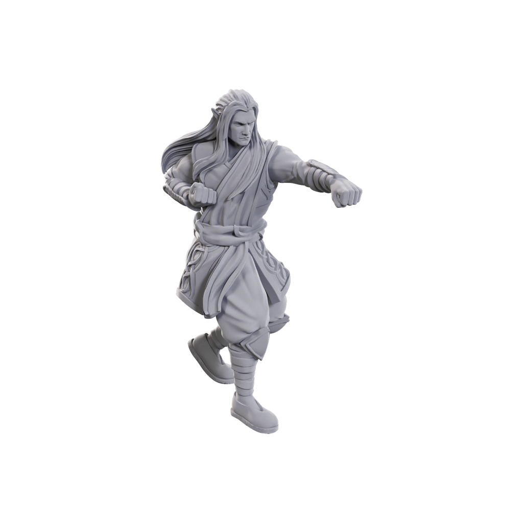 Nolzur's Marvelous Miniatures - Archdruid & Martial Arts Adept