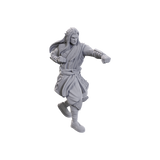Nolzur's Marvelous Miniatures - Archdruid & Martial Arts Adept