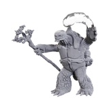 Nolzur's Marvelous Miniatures - Tortle Druid & Wild Shape Giant Lizard