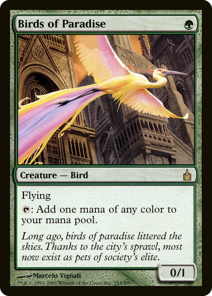 Birds of Paradise [RAV - 153]