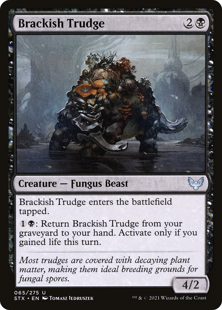 Brackish Trudge [STX - 65]
