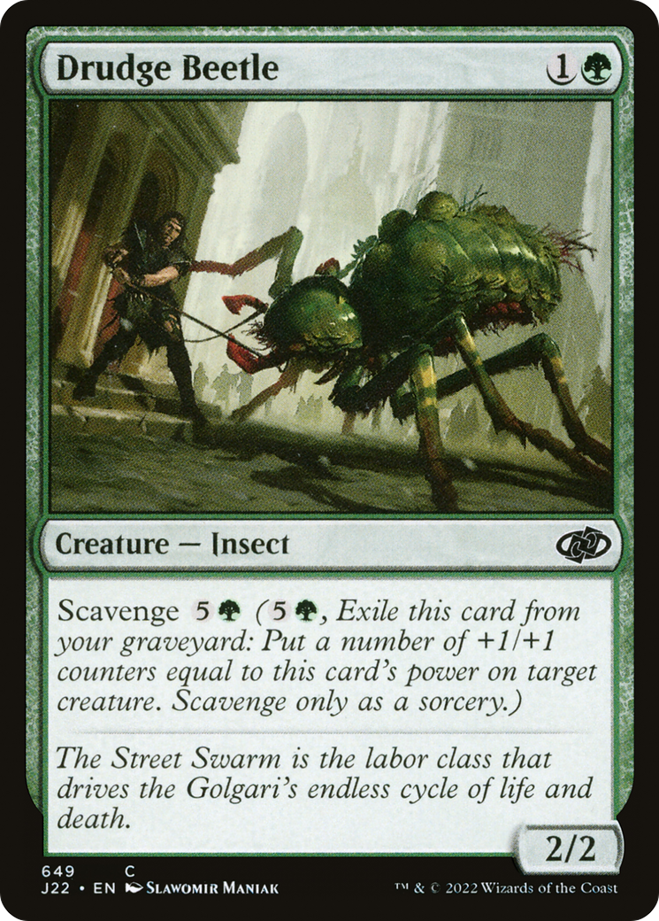 Drudge Beetle [J22 - 649]
