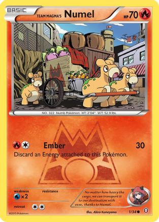Team Magma's Numel [DCR - 1/34]