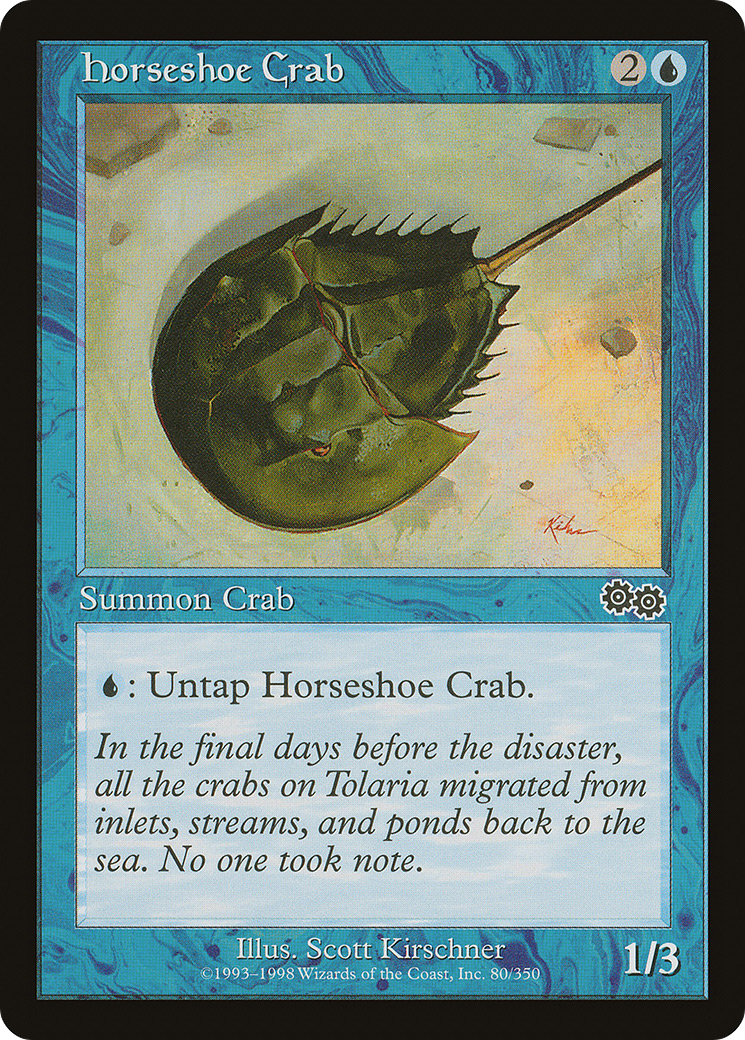 Horseshoe Crab [USG - 80]