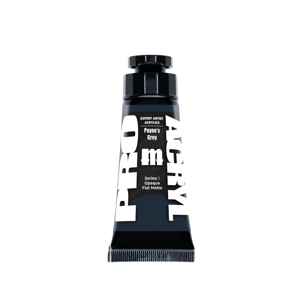 Expert Acrylics - Payne's Grey