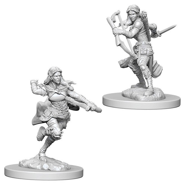 Nolzur's Marvelous Miniatures - Air Genasi Rogue