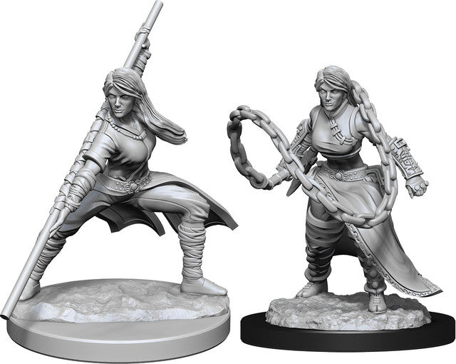Nolzur's Marvelous Miniatures - Human Monk