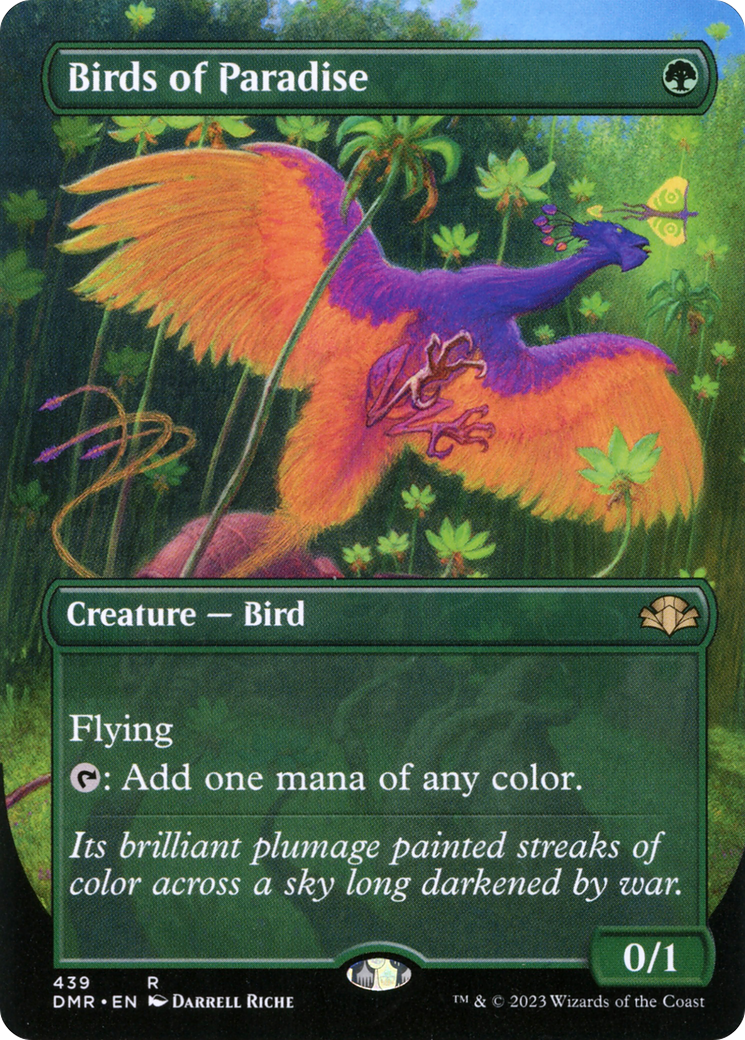 Birds of Paradise (Borderless) [DMR - 439]