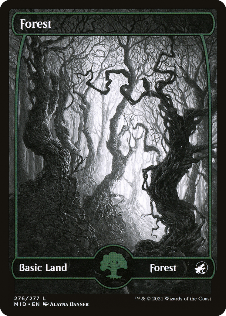 Forest (276) [MID - 276]