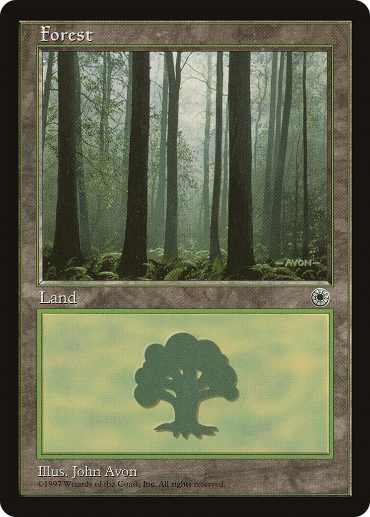 Forest (Ferns on Ground) [POR - 205]