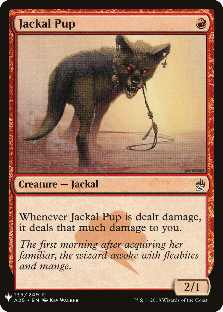 Jackal Pup [LIST - 139]