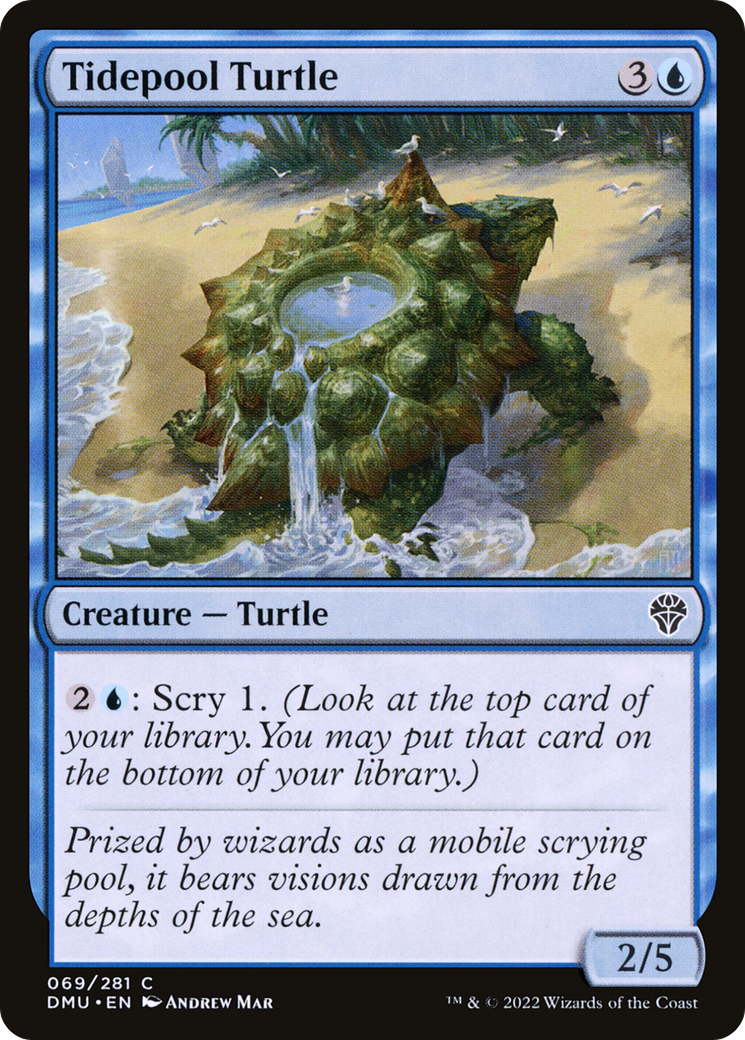 Tidepool Turtle [DMU - 69]