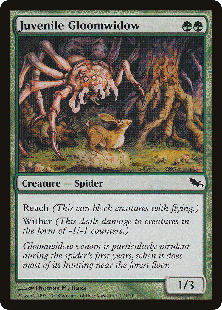 Juvenile Gloomwidow [SHM - 121]