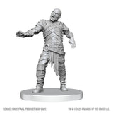 D&D Nolzur's Marvelous Miniatures: Swarm of Rot Grubs & Rot Grub Victim
