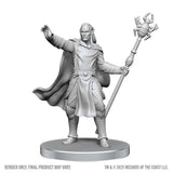 Nolzur's Marvelous Miniatures - Drow Mage & Yochlol