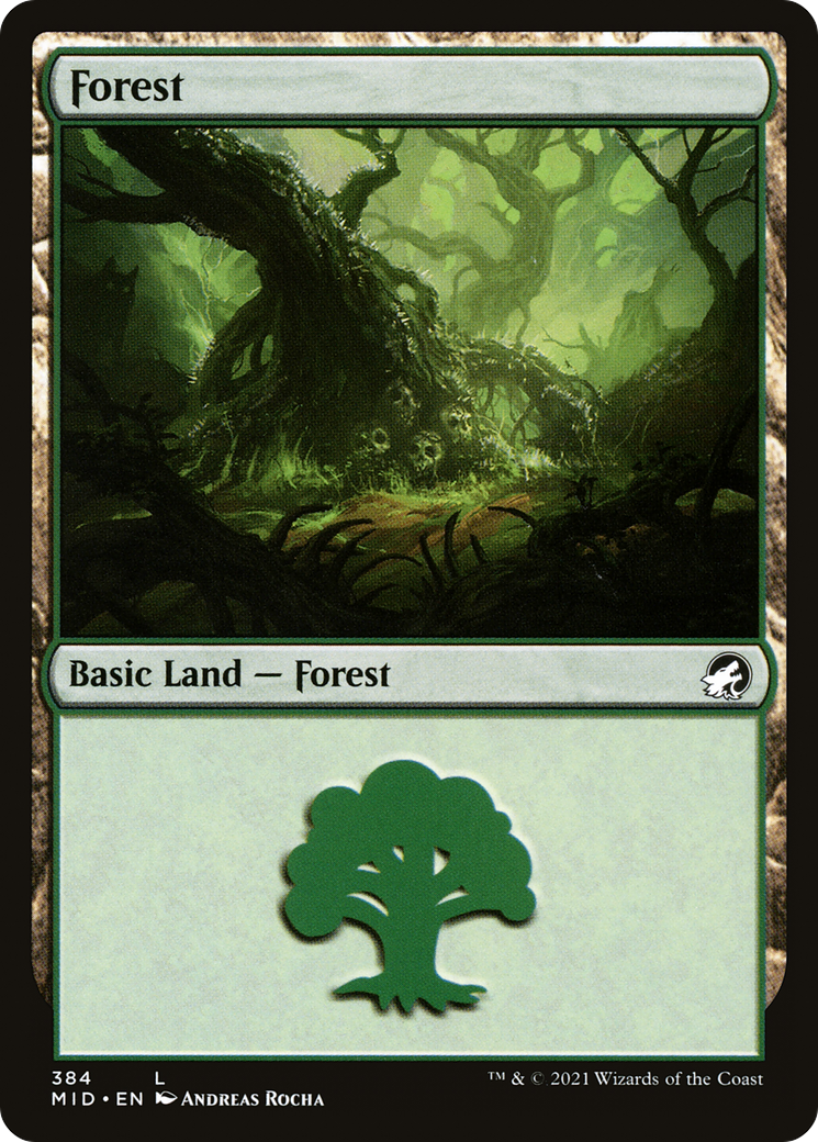 Forest (384) [MID - 384]